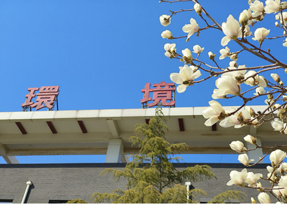 20250320 遇見(jiàn)·春天，解鎖海螺新材的春日浪漫119